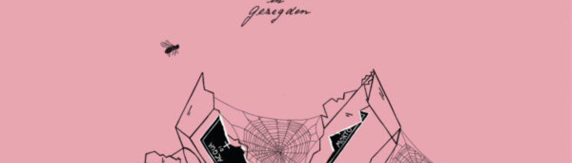 cover boek Ezra Efdé